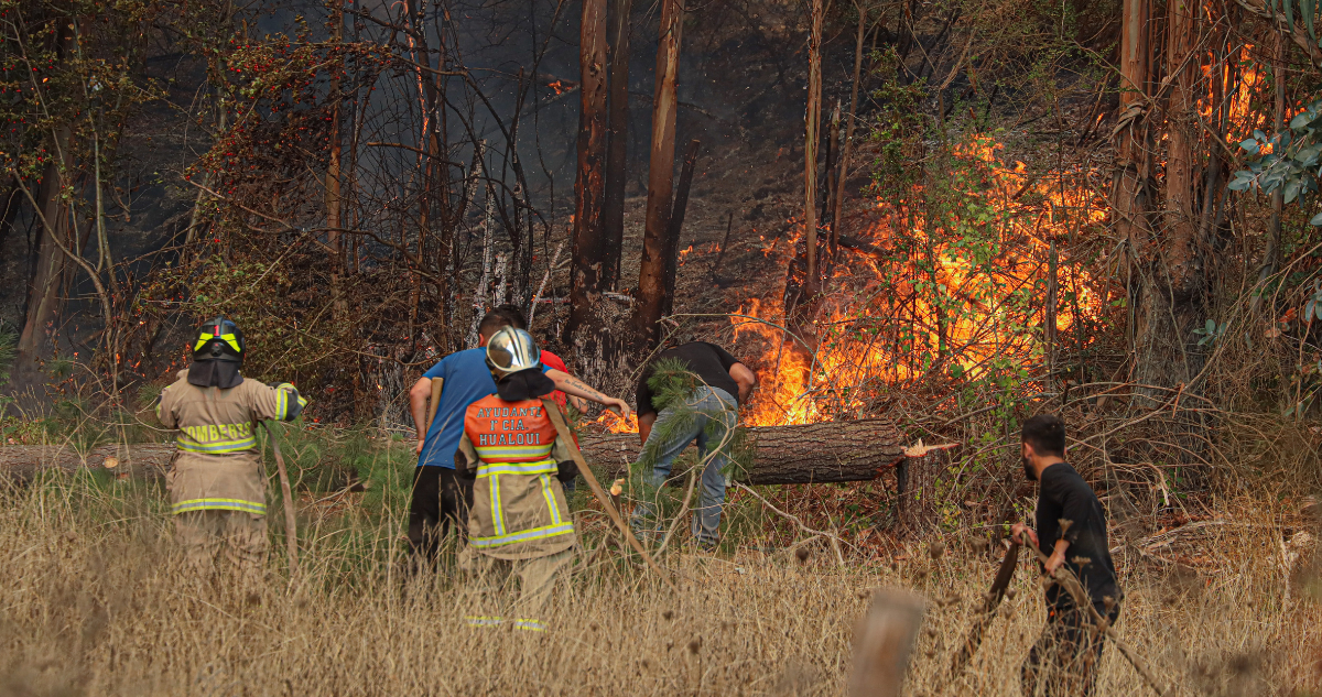 Senapred advierte alto riesgo de incendios forestales en Los Lagos por estrés hídrico