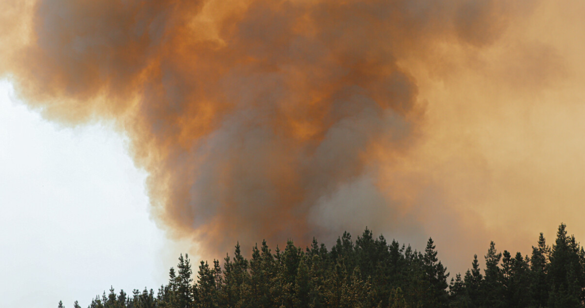 https://media.biobiochile.cl/wp-content/uploads/2025/12/declaran-alerta-roja-para-la-comuna-de-curarrehue-por-incendio-forestal.png
