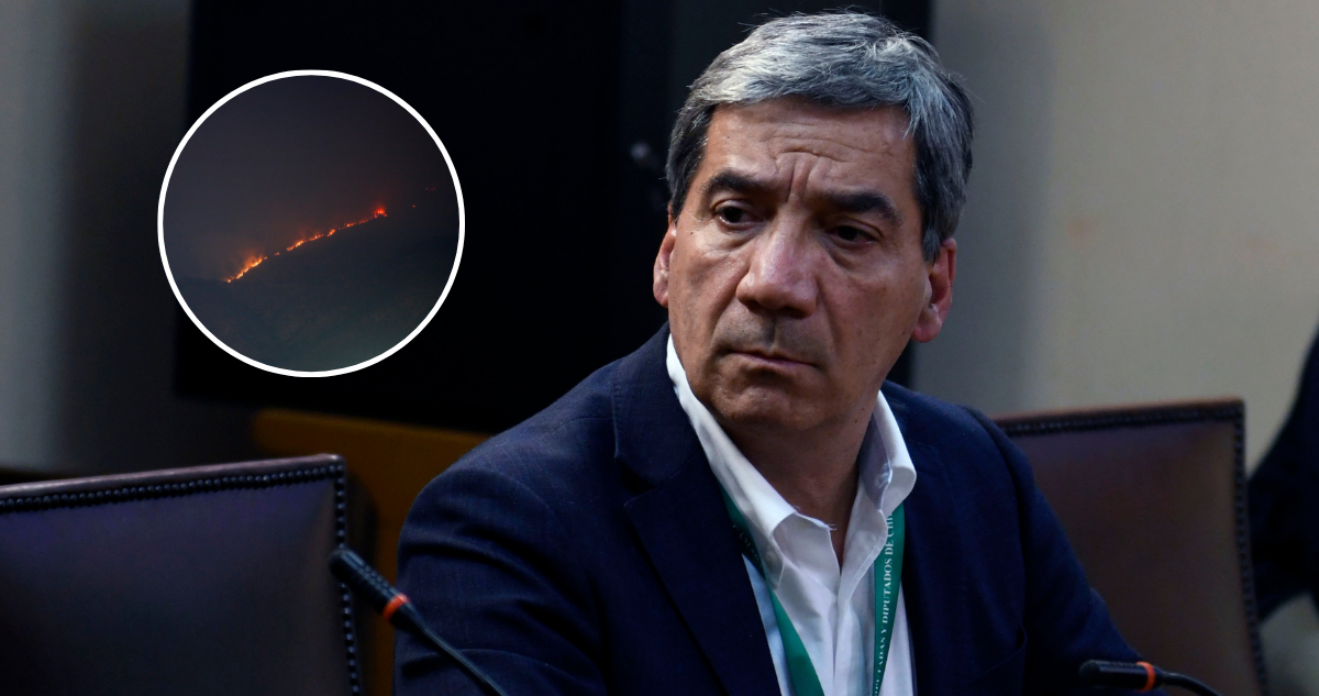 Delegado Durán detalla que incendio forestal en Las Condes está contenido y no amenaza a viviendas