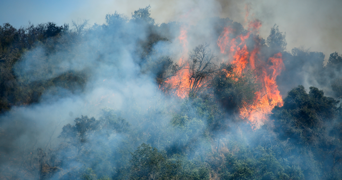 Detienen a presunto autor de incendio en San Pedro (RM): revelan cómo se habría originado el siniestro