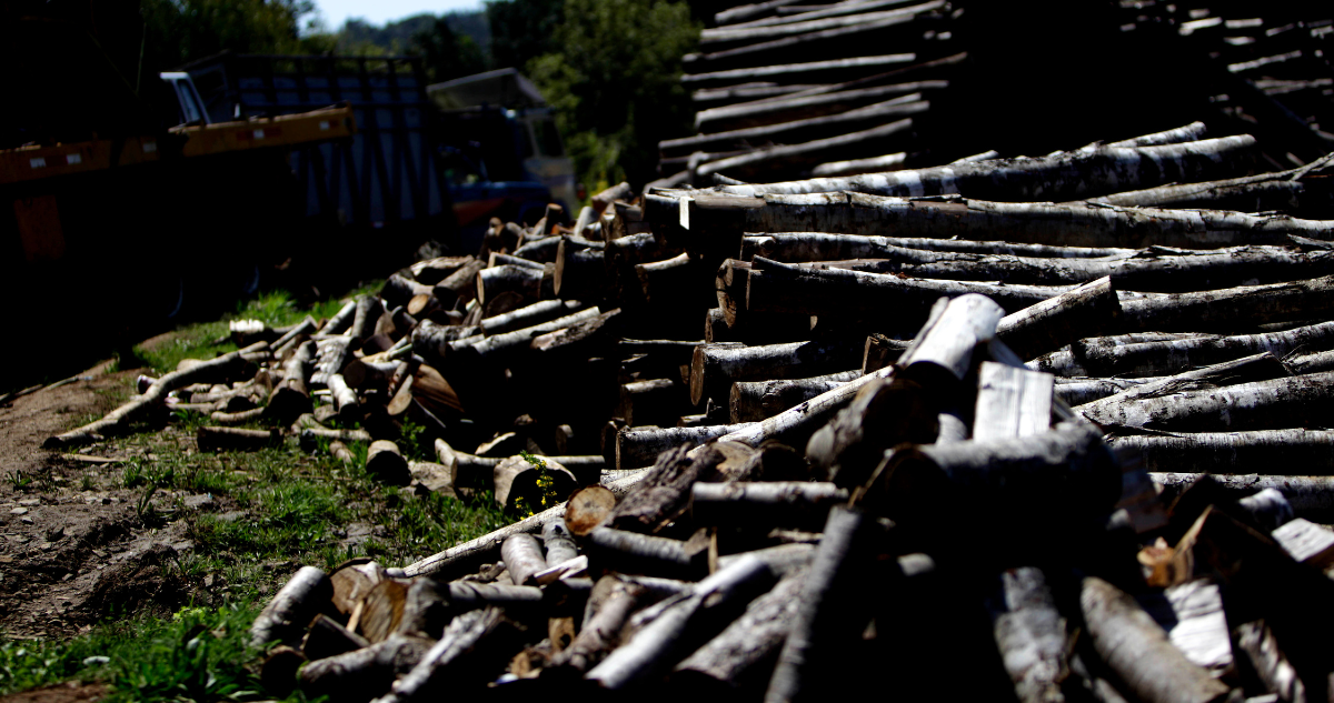 Dos personas quedan detenidas por robo de madera nativa en predios de Osorno