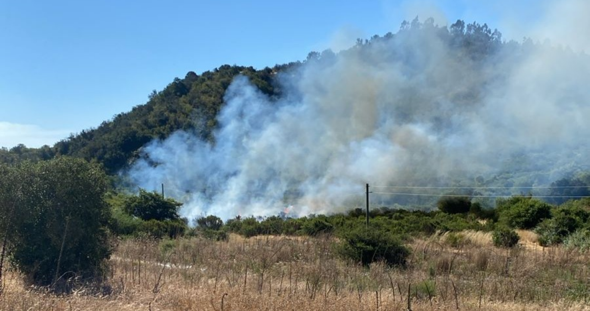 https://media.biobiochile.cl/wp-content/uploads/2025/12/emiten-alerta-sae-para-evacuar-en-san-pedro-por-incendio-forestal_-fuego-ha-consumido-1-667-hectarea.png