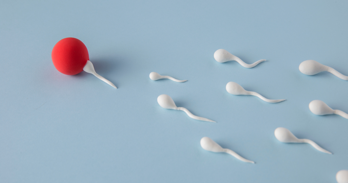 donante de esperma