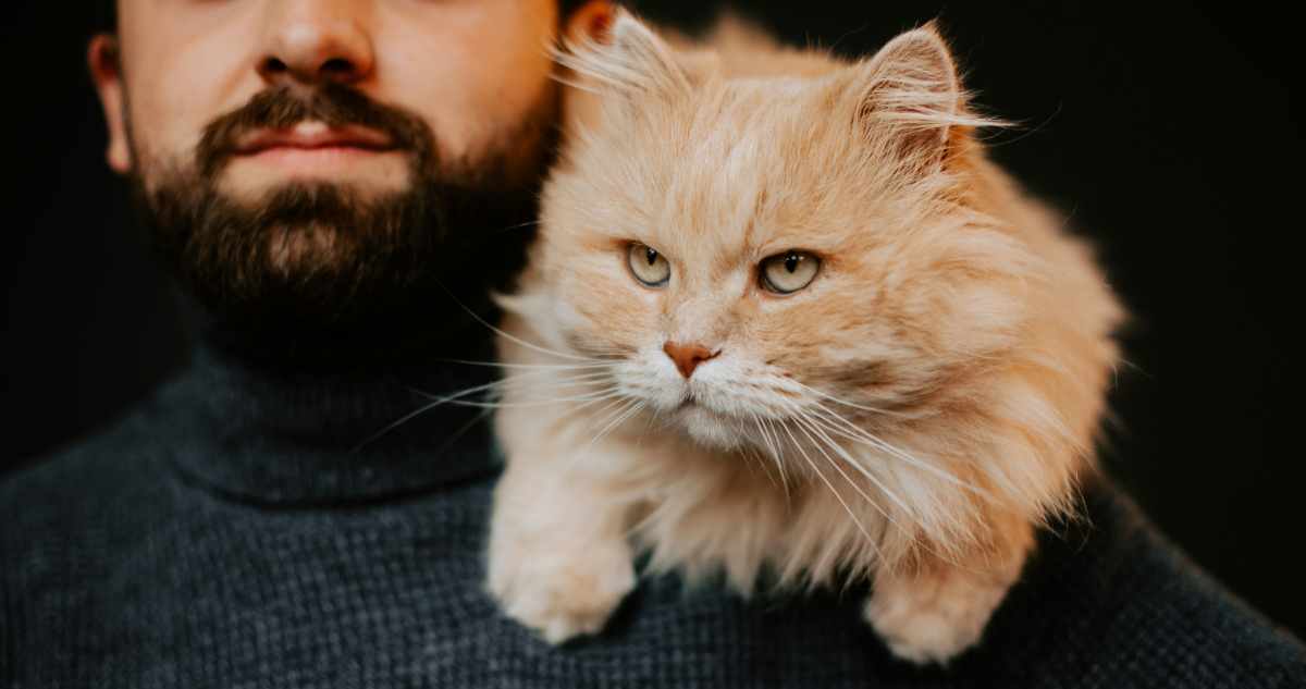 Lo dice la ciencia: ¿por qué los gatos le maúllan más a los hombres que a las mujeres?