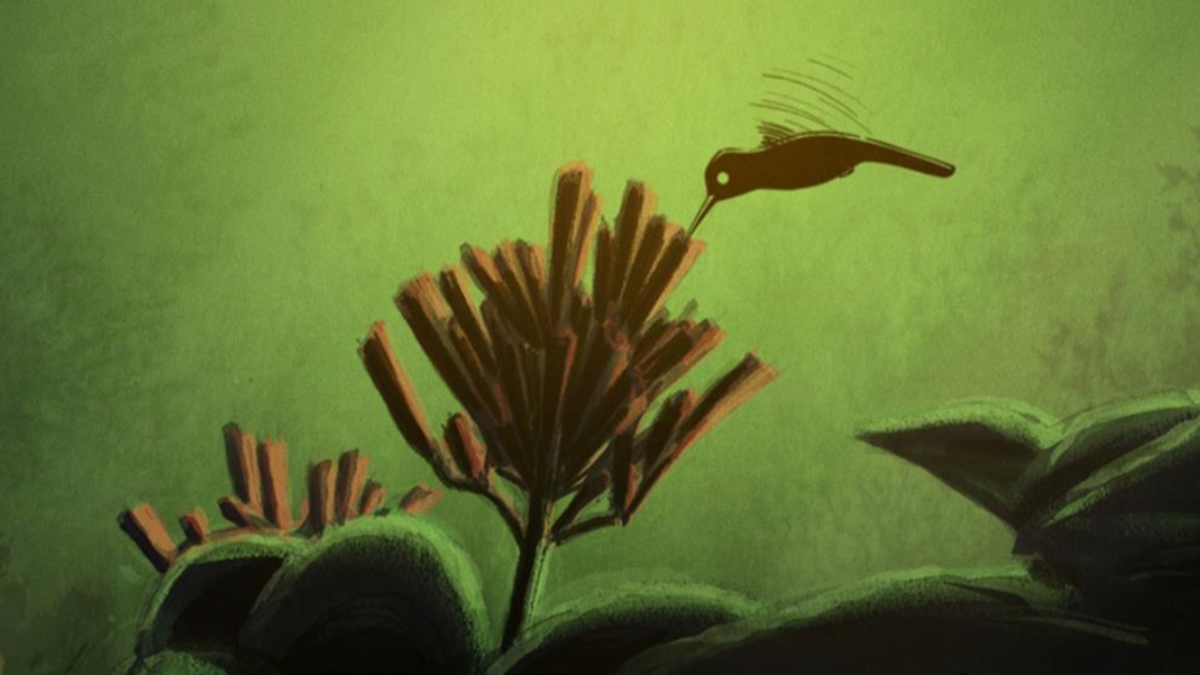 guardianes de la naturaleza ñuble cine