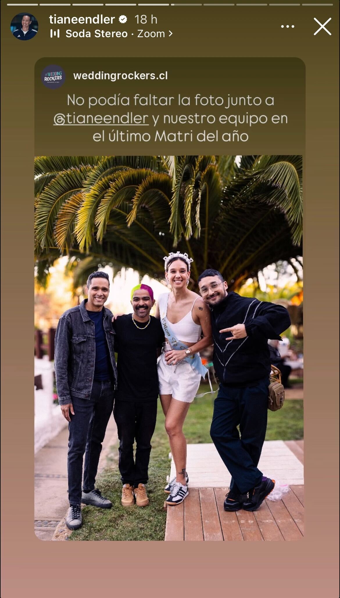 Matrimonio de Tiane Endler y Sofía Orozco en Chile foto 1