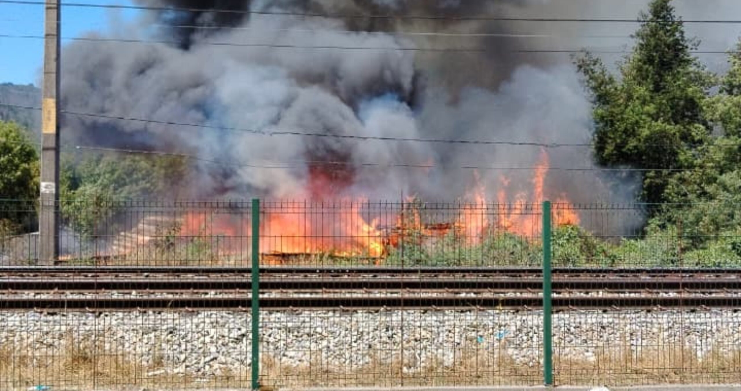 Incendio en acopio de madera en Chiguayante