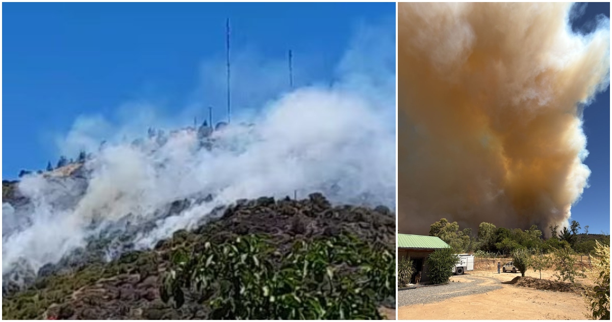 "Estamos muy, muy preocupados": incendio forestal en Maule consume 1.100 hectáreas y destruye 2 casas