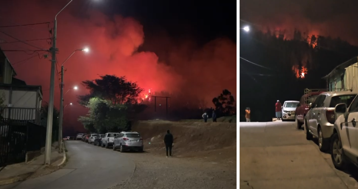 https://media.biobiochile.cl/wp-content/uploads/2025/12/incendio-forestal-constitucion-1.png