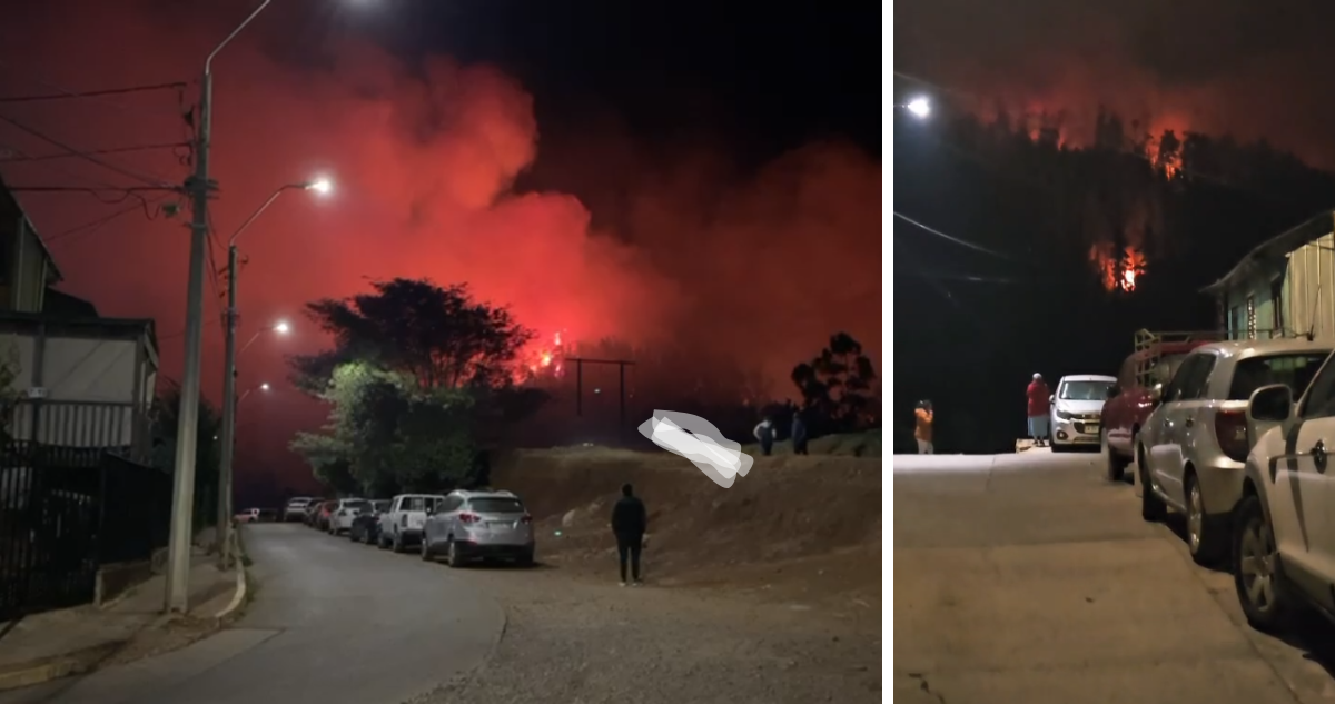 Alerta Roja en Constitución por incendio forestal cercano a viviendas