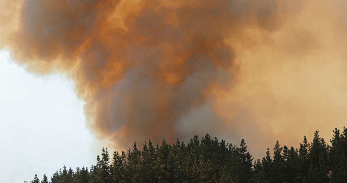 CONTEXTO | Agencia UNO