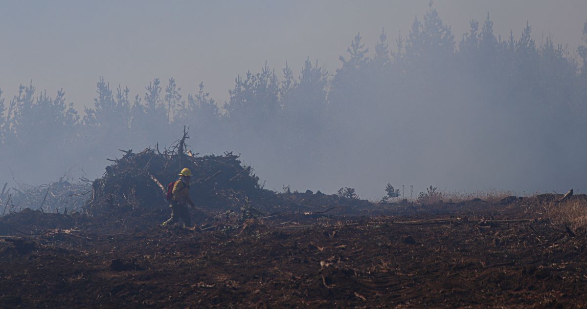 Activan Botón Rojo en comunas del Bío Bío por altas temperaturas y riesgo de incendios forestales