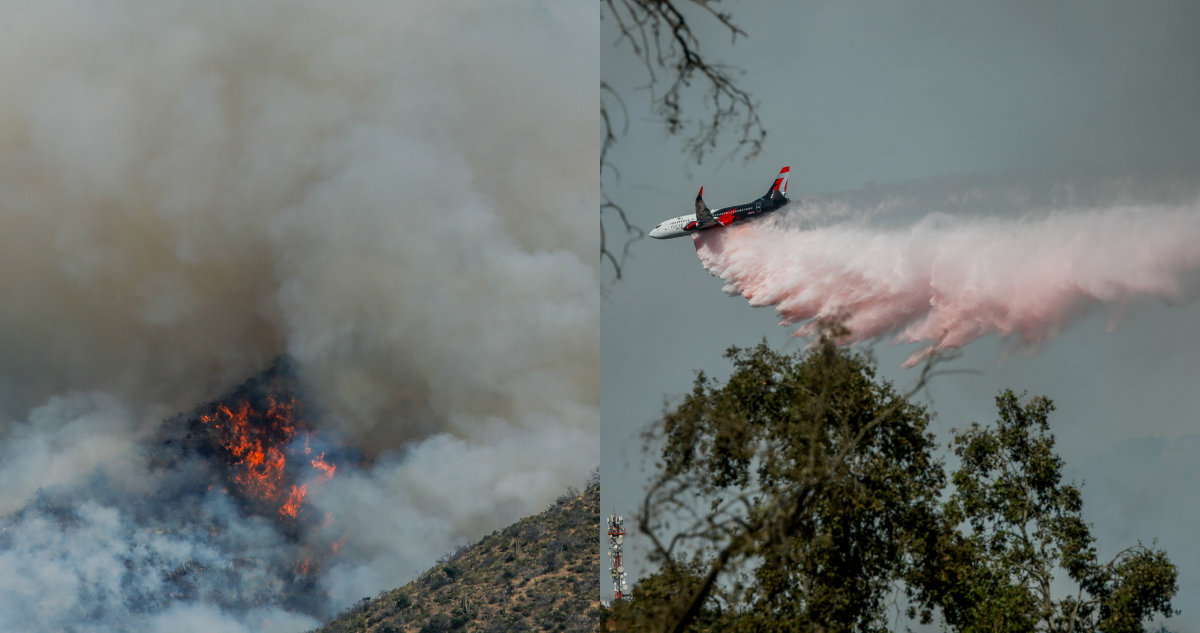 Incendio forestal en Las Condes ya consumió 800 hectáreas: investigan si fumadores iniciaron el fuego
