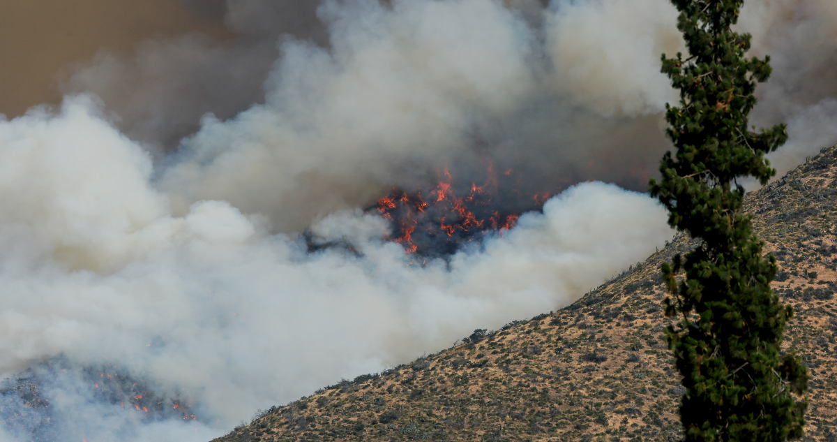 Incendio forestal en Las Condes: el siniestro sigue activo y ha consumido 940 hectáreas