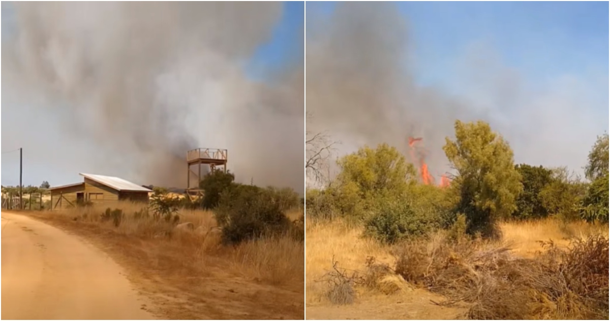 Incendio forestal muerte de comandante de Bomberos