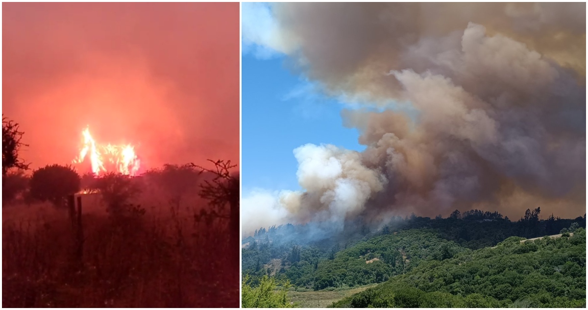 Incendio forestal en Santo Domingo