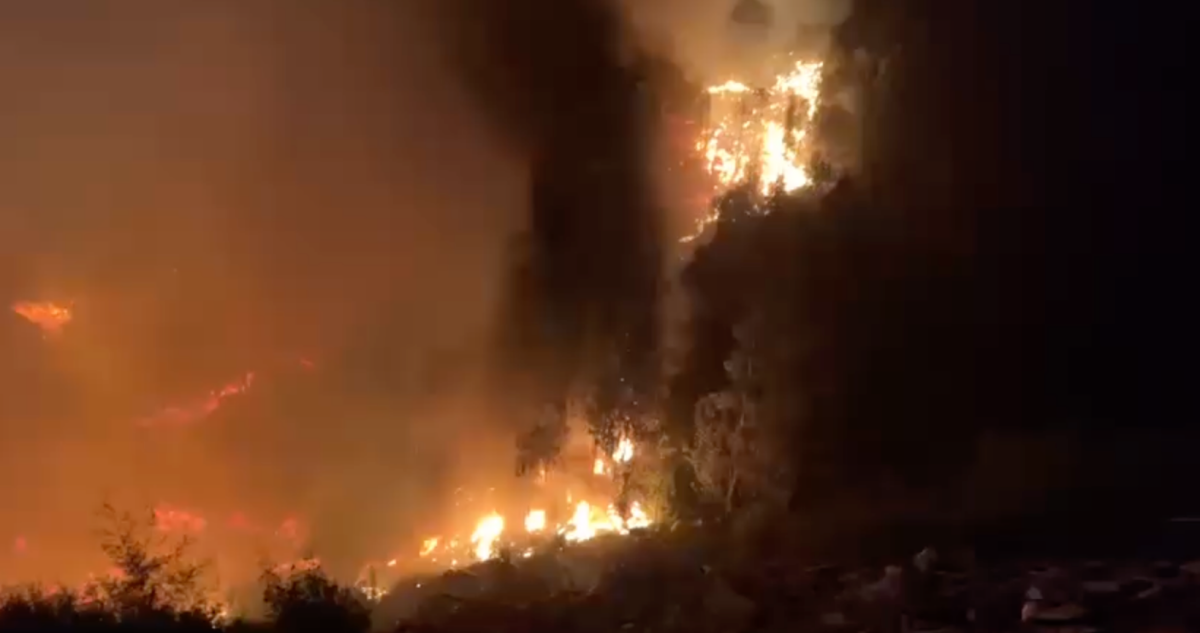 Alerta Roja por incendio forestal en Valparaíso