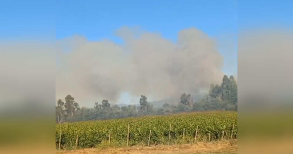 Declaran Alerta Roja para Linares por incendio forestal: al menos 6 hectáreas afectadas