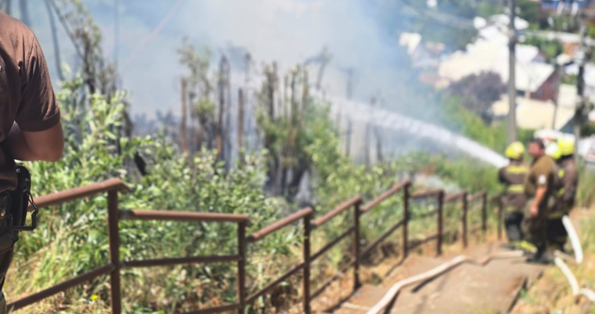 Municipio de Penco se querella contra responsables de intencionalidad de incendios forestales