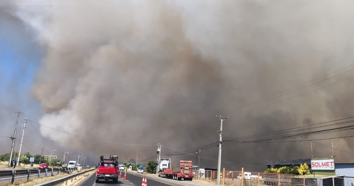 Incendios forestales en Ñuble