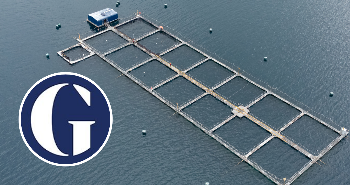 Industria salmonera acusa datos falsos en reportaje de The Guardian y envía informe a embajada en UK