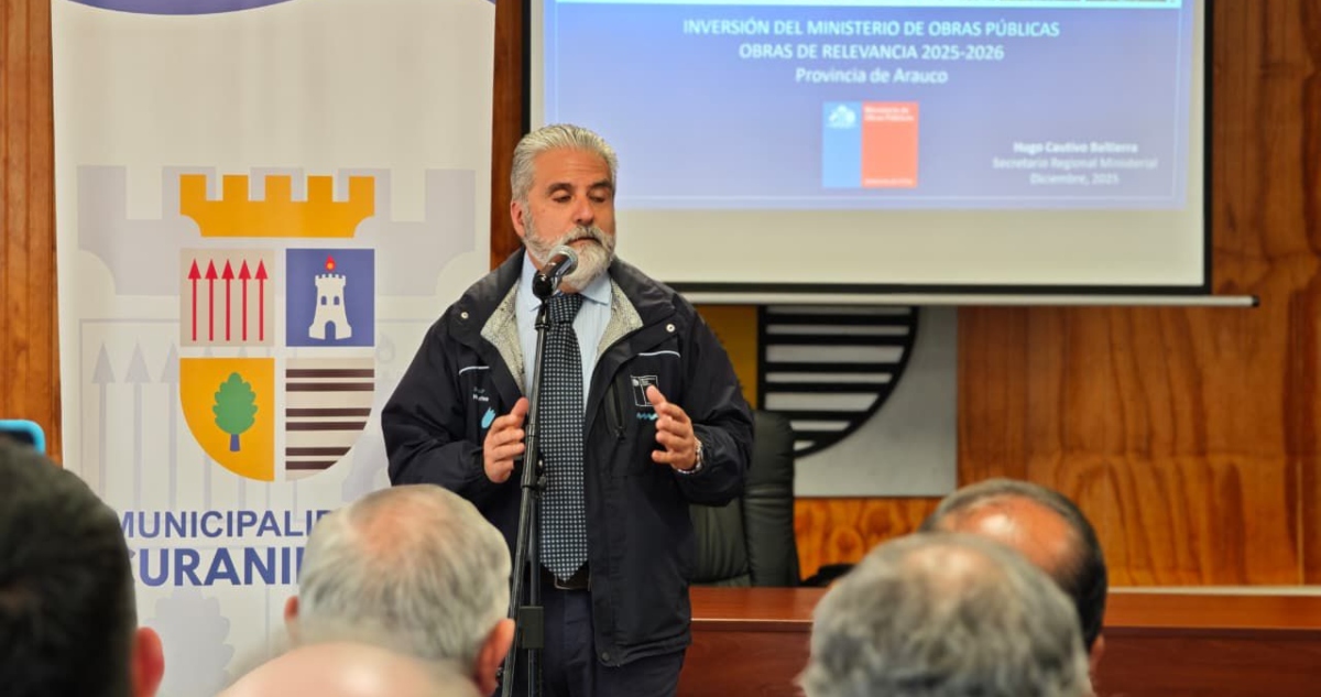 Inversiones en la provincia de Arauco