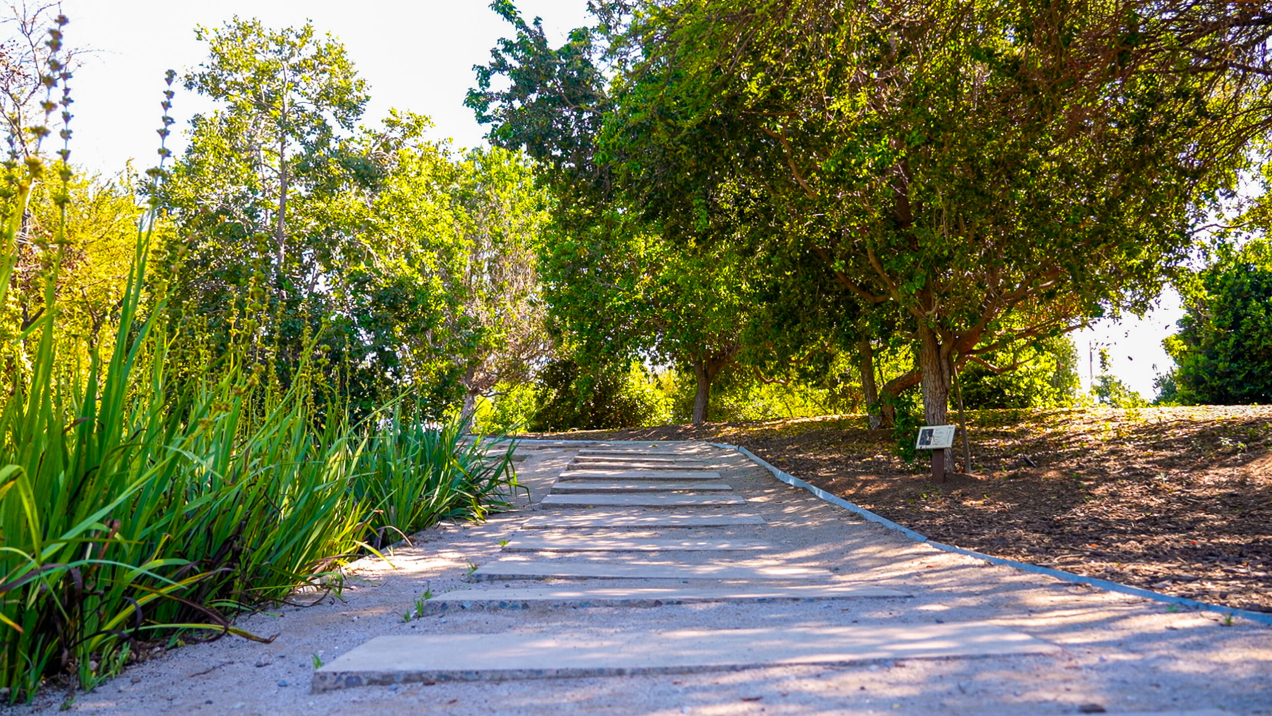 parque-anglo-american