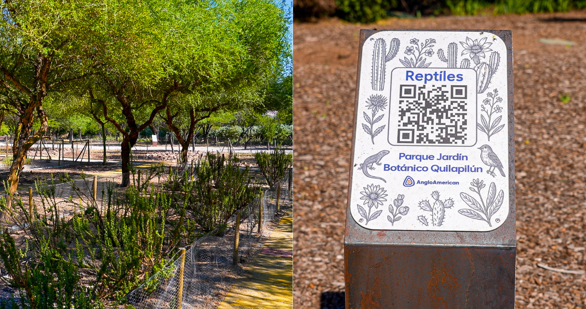 jardin-botanico-anglo-american