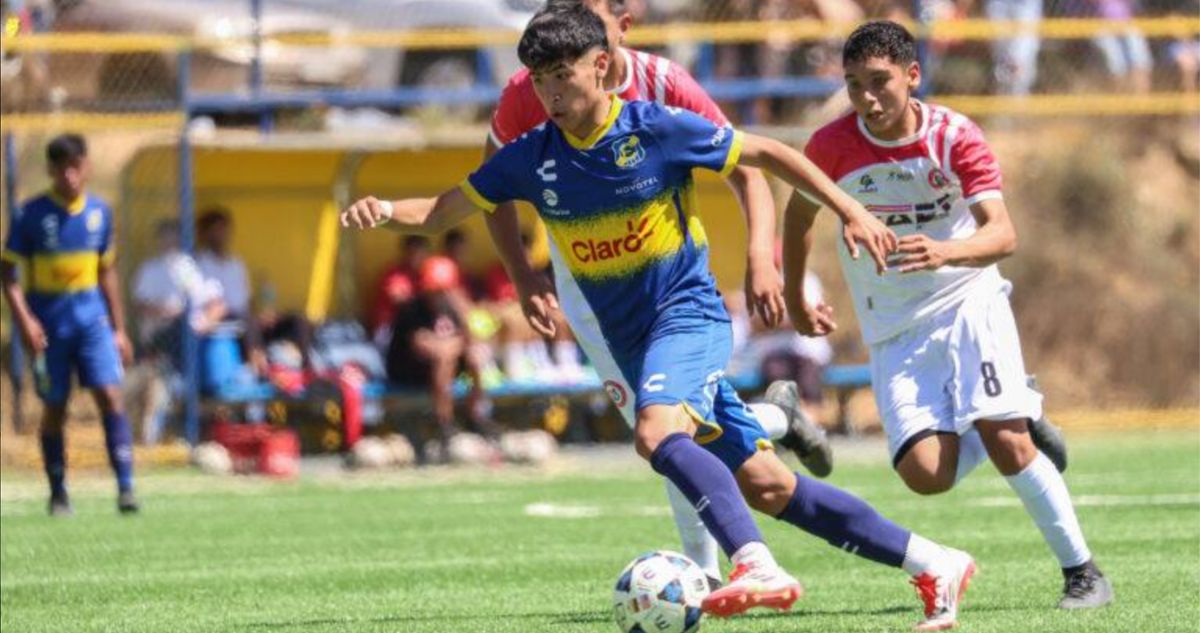 La U refuerzo juvenil