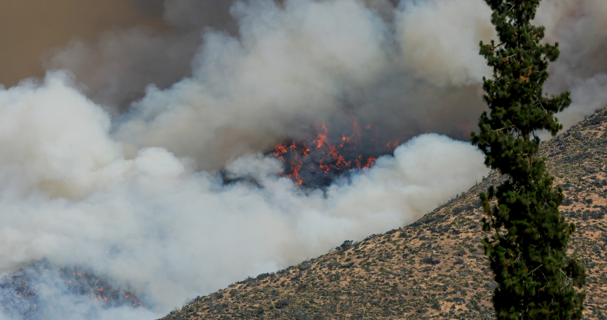 Incendio forestal en San Carlos de Apoquindo