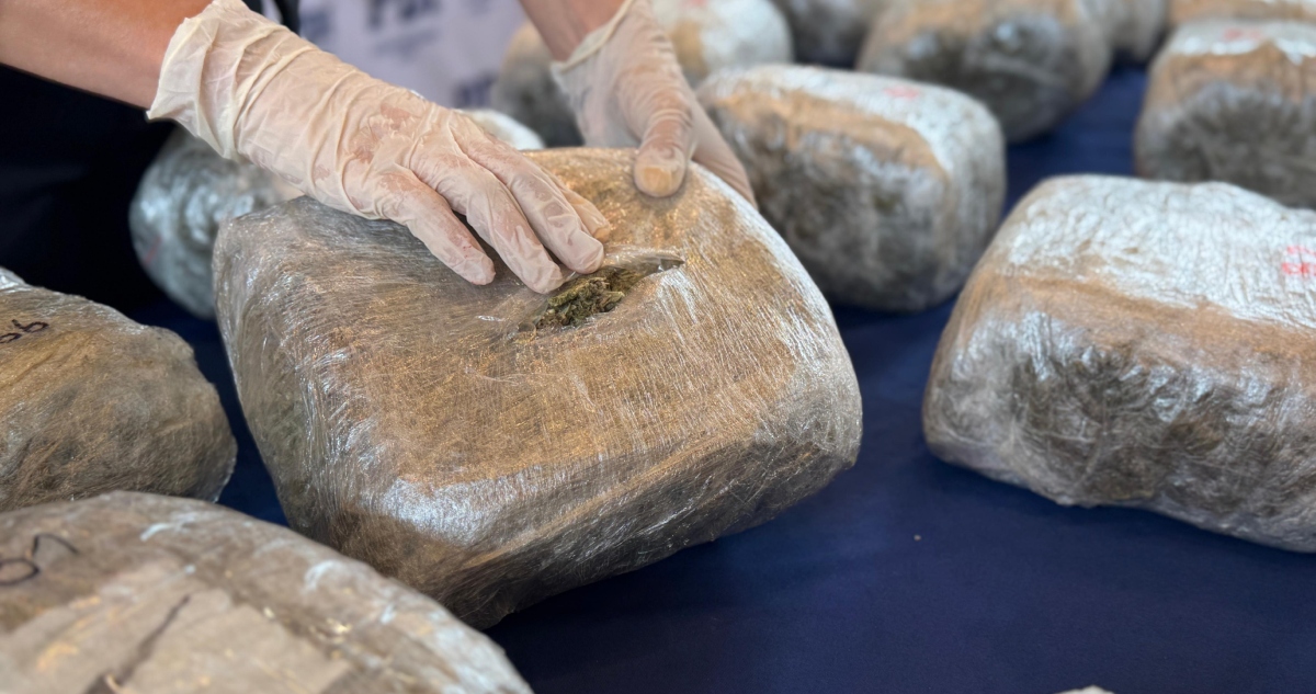 Incautan marihuana en Puerto Montt