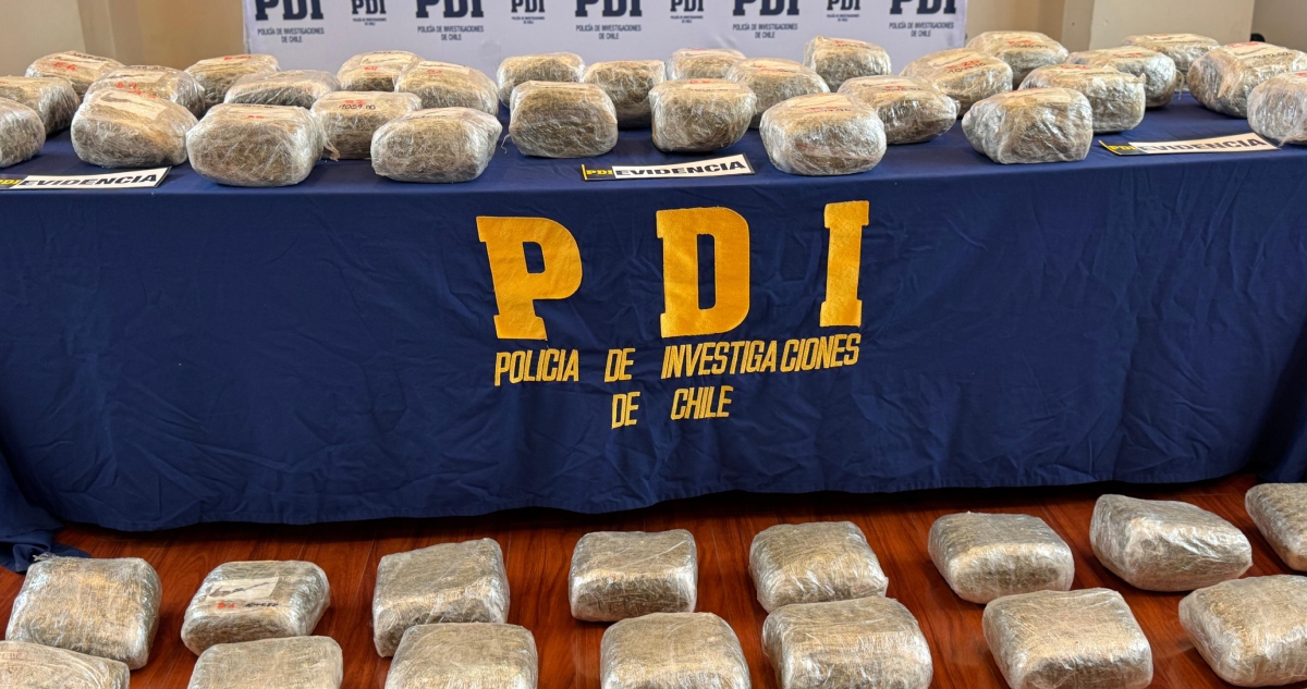 Incautan marihuana en Puerto Montt