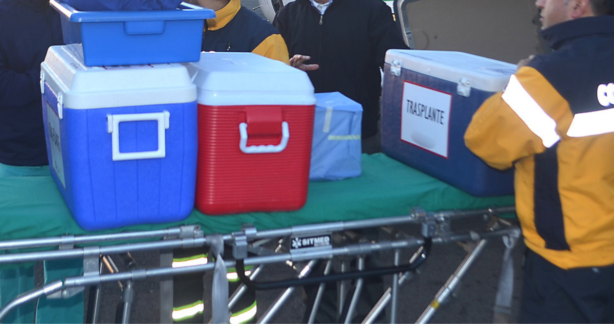 Órgano perdido por negligencia: Clubes aéreos aseguran haber estado disponibles para traslado