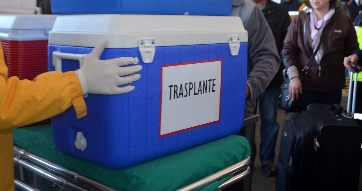 Imagen de contexto de un traslado aéreo de órganos para trasplante.