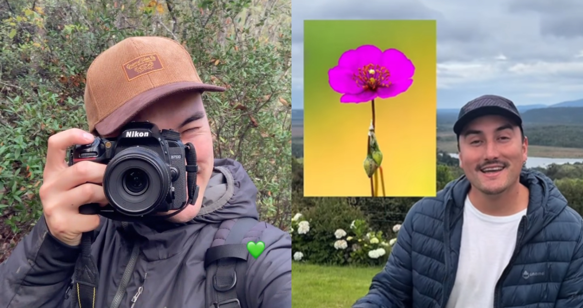 Chileno que captó una pata de guanaco en el desierto florido