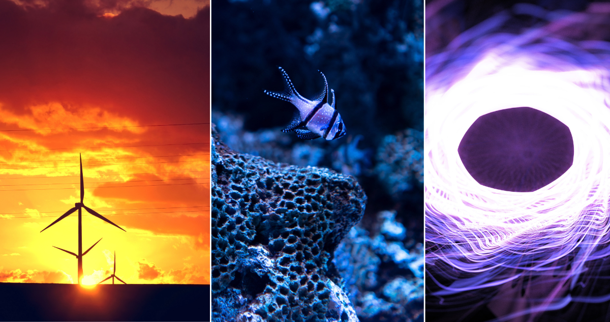 Podcast ‘Ciencia Inesperada’ visibiliza hallazgos científicos hechos desde el Bío Bío: escúchalo aquí