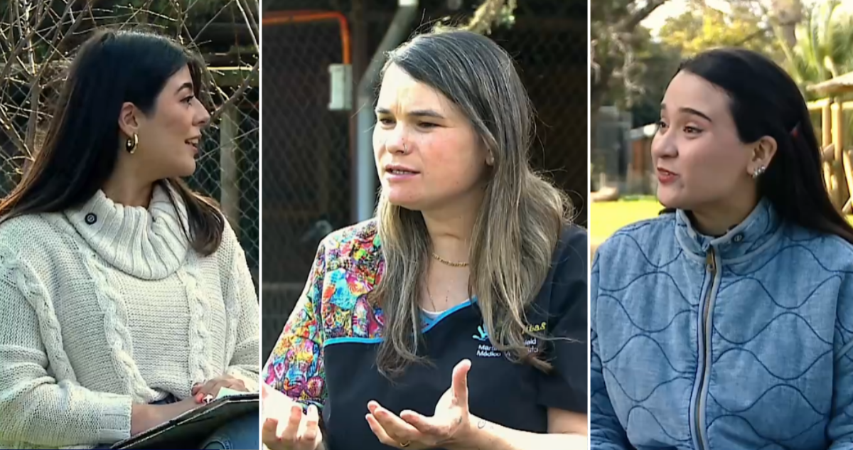 Capítulo 1: Huellitas por un sueño