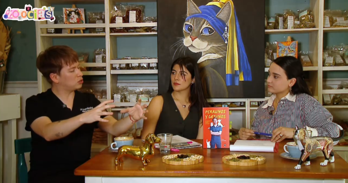 Capítulo 2: Enzo Rouband