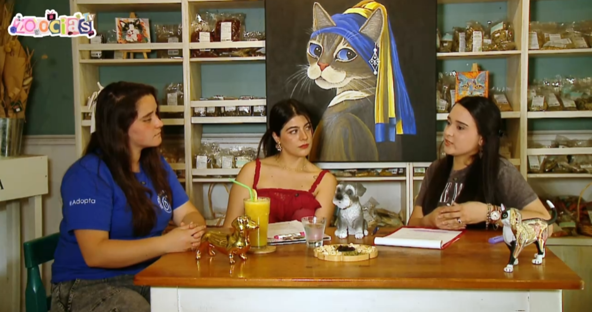 Capítulo 4: ONG Ayuda Patitas Ñuñoa