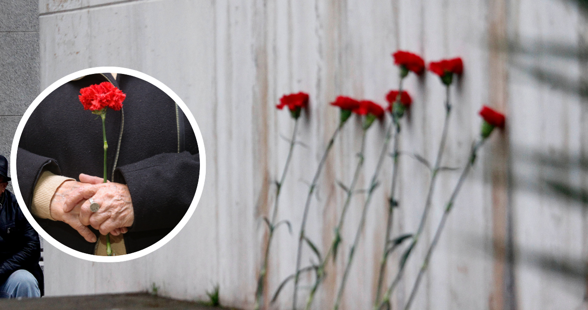 Foto de contexto de claveles rojos en memoria de víctimas de la dictadura