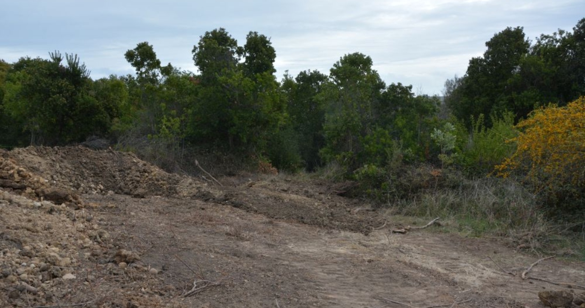 Inédito: Tribunal Ambiental ordena remate de predios de inmobiliaria por daño en Quebrada La Loma