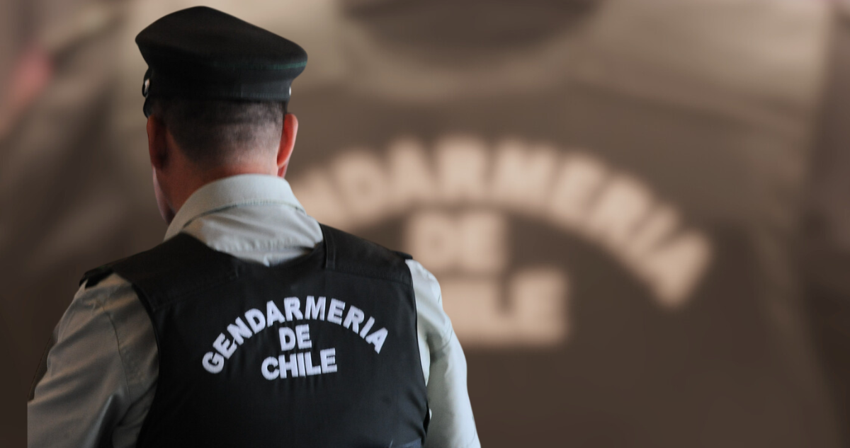 Reo liberado por error