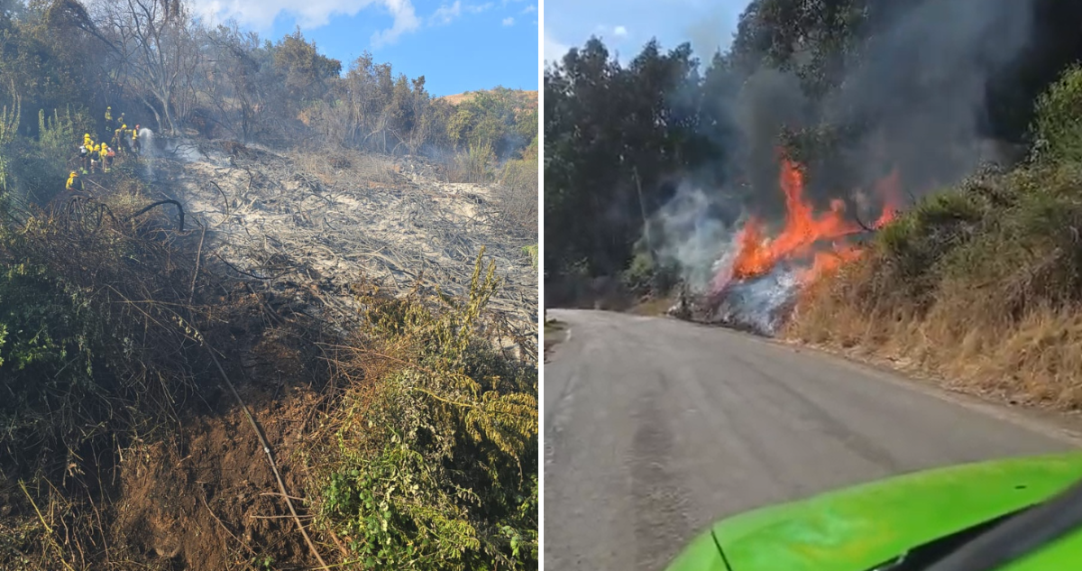 https://media.biobiochile.cl/wp-content/uploads/2025/12/reportan-incendio-forestal-en-comuna-de-la-cruz-sector-pocochay.png