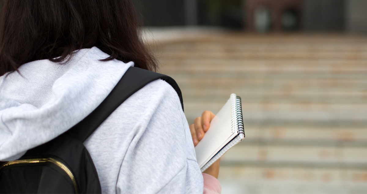 Los requisitos de acceso a pedagogías que fueron fijados en nueva ley: regula puntajes de la PAES