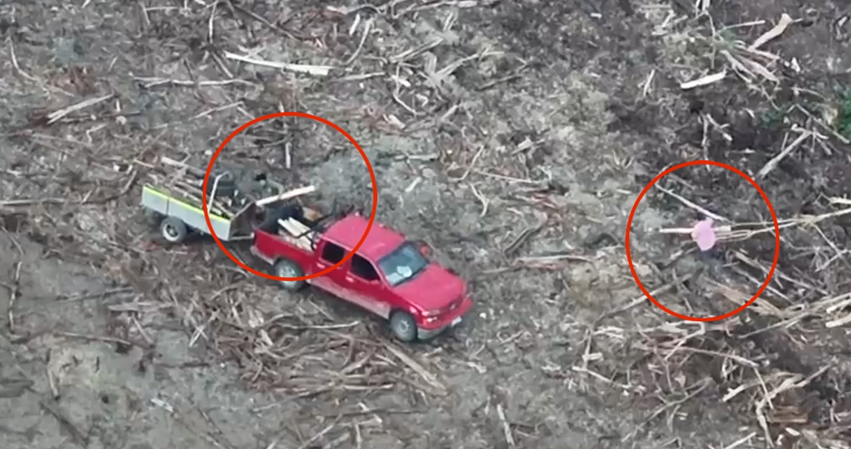 Robo de madera en La Unión