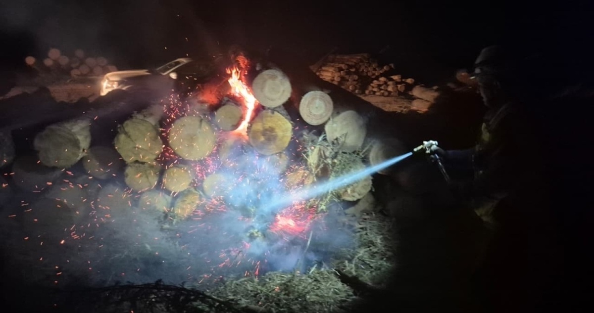 Hombres son sorprendidos robando madera a Arauco en Coronel: uno provocó tres incendios para escapar