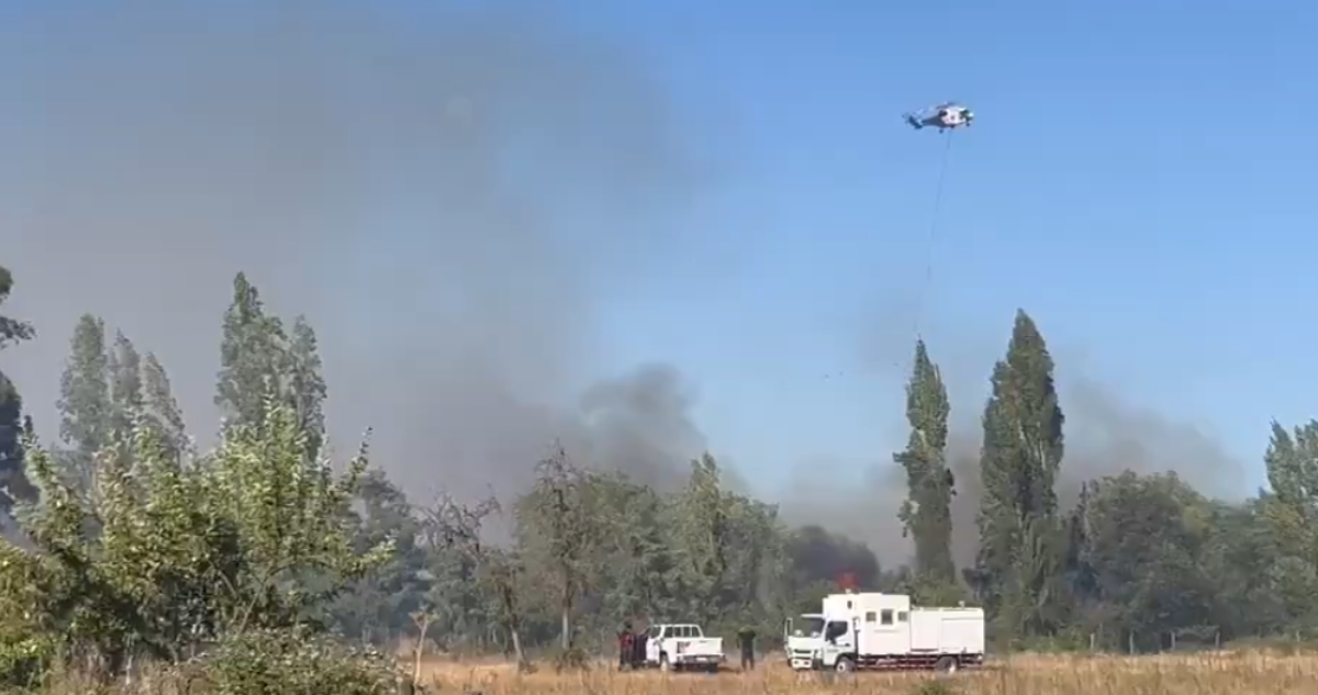 Senapred declara Alerta Roja en Ñiquén por incendio forestal: cerca de 4 hectáreas afectadas