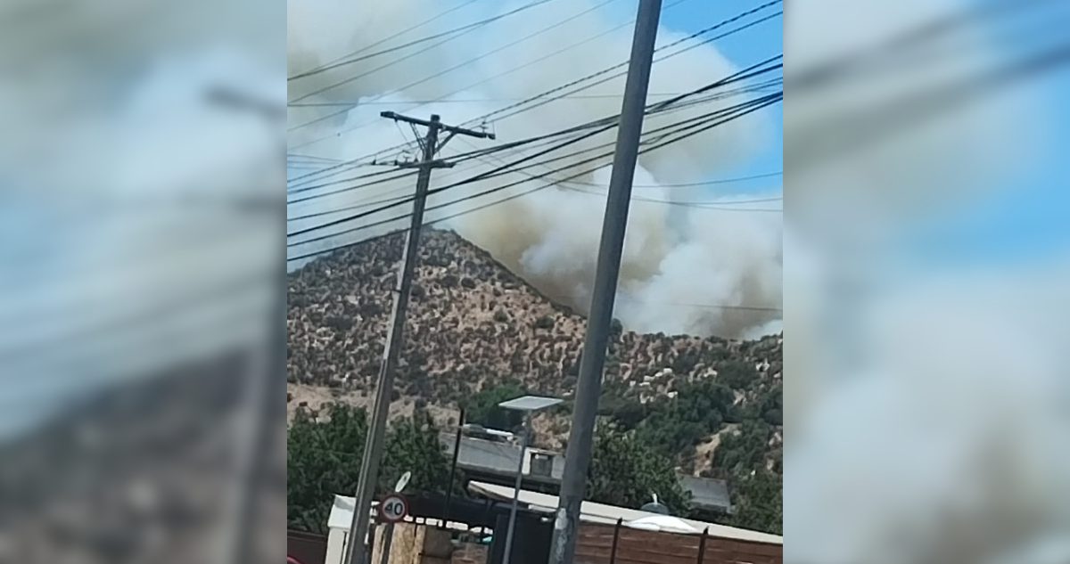 Senapred solicita evacuar sector San Carlos Altos de Catemu por incendio forestal