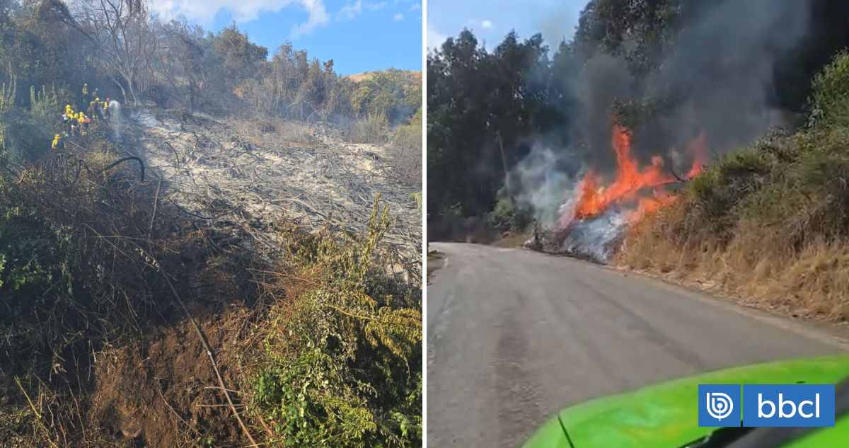 Bombero voluntario provocó incendio forestal en Pocochay, Valparaíso