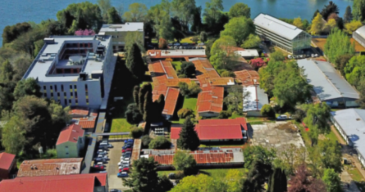 Sindicato de Trabajadores UACh fija fecha para votar demanda a plantel en caso que no se pague bono